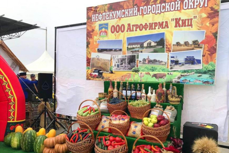 Краевая сельскохозяйственная выставка «Урожай-2023». Краевая сельскохозяйственная выставка «Урожай-2023».