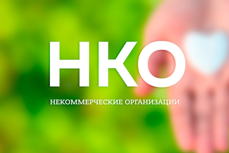 Отчетность некоммерческих организаций. Отчетность некоммерческих организаций.