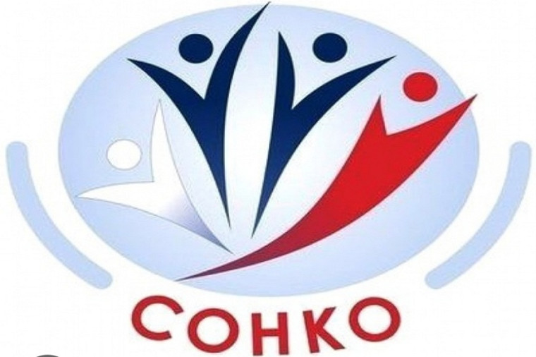 Конкурсный отбор социально ориентированных некоммерческих организаций на получение субсидии на реализацию социально значимых мероприятий. Конкурсный отбор социально ориентированных некоммерческих организаций на получение субсидии на реализацию социально значимых мероприятий.
