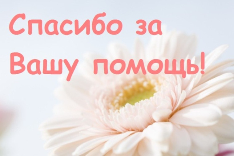 Об оказании содействия в проведении краевой акции «Эх, путь-дорожка фронтовая...».. Об оказании содействия в проведении краевой акции «Эх, путь-дорожка фронтовая...»..