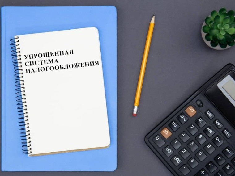 «Упрощенка»: кому и почему выгодно выбирать УСН. «Упрощенка»: кому и почему выгодно выбирать УСН.