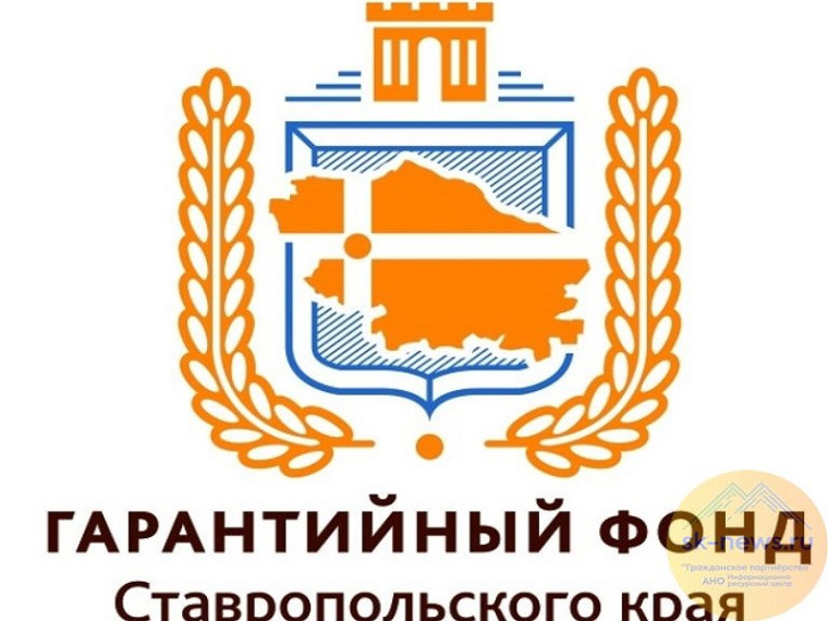 Поручительства, предоставляемые «Гарантийный фондом Ставропольского края». Поручительства, предоставляемые «Гарантийный фондом Ставропольского края».