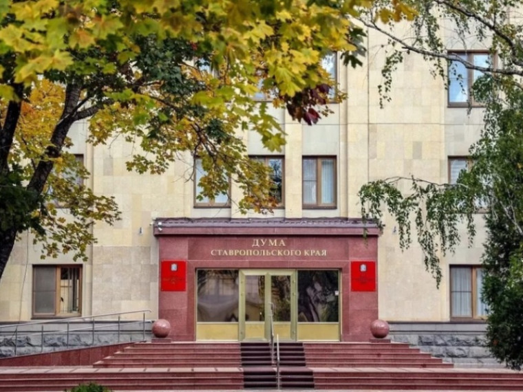 Дополнительный конкурс законотворческих и социально значимых проектов. Дополнительный конкурс законотворческих и социально значимых проектов.