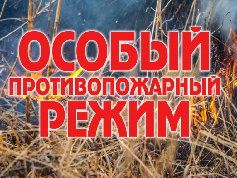 ПОЖАРНАЯ БЕЗОПАСНОСТЬ БИЗНЕСА. ПОЖАРНАЯ БЕЗОПАСНОСТЬ БИЗНЕСА.