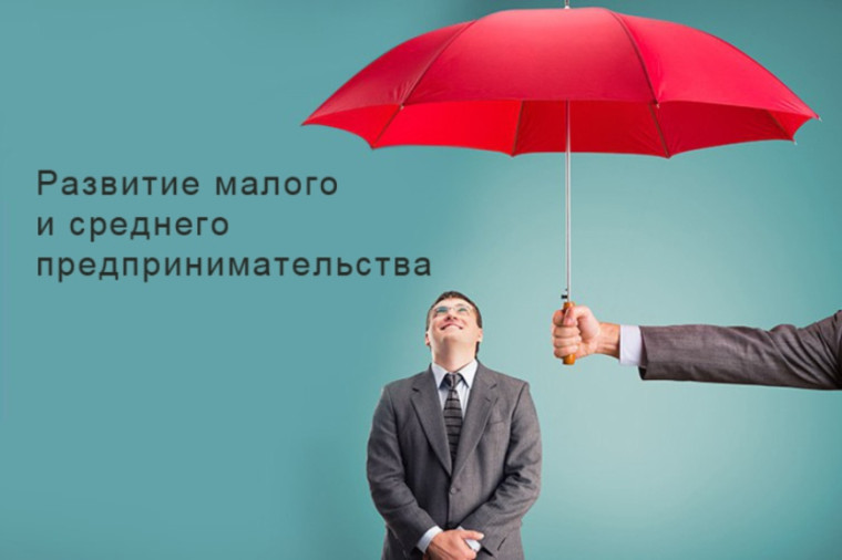 Субсидия для субъектов малого и среднего предпринимательства, учредителями которых являются участники специальной военной операции. Субсидия для субъектов малого и среднего предпринимательства, учредителями которых являются участники специальной военной операции.